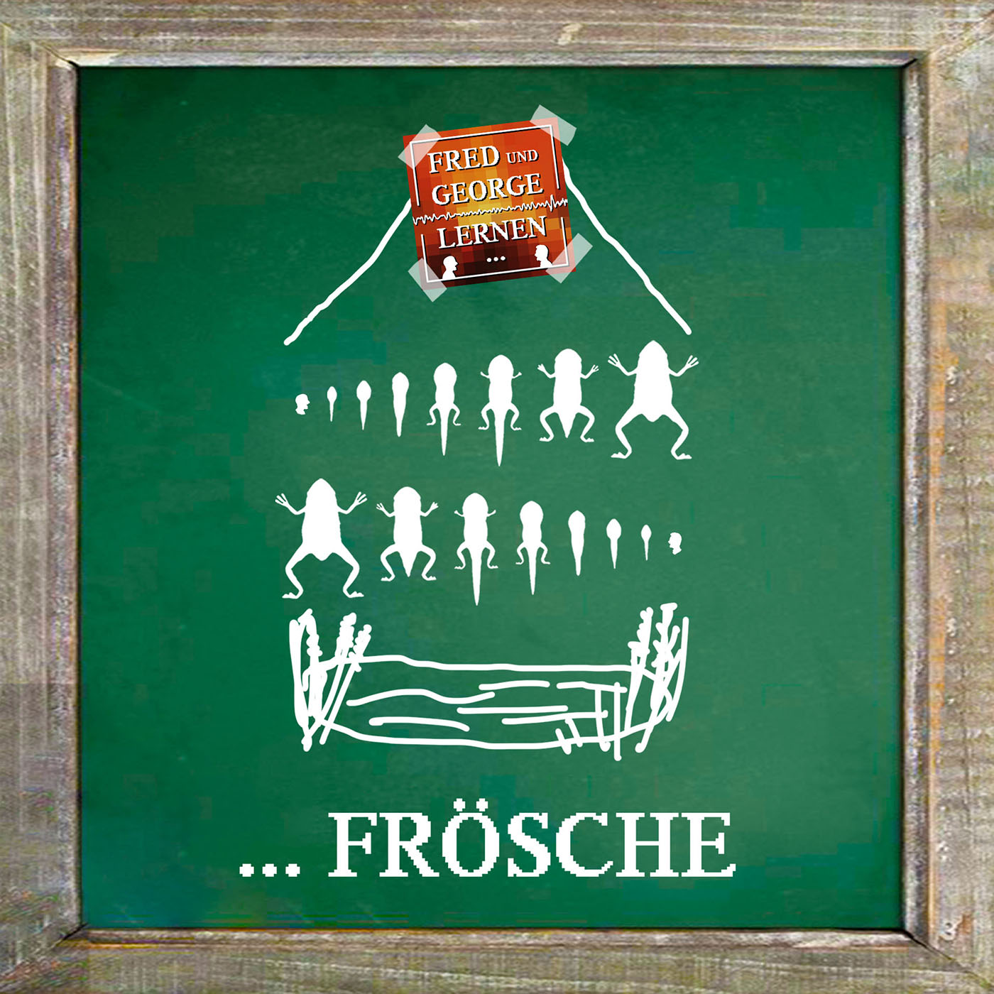 … Frösche episode artwork